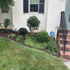 Bush Trimming by Michael Warren reviewed on November 20, 2025