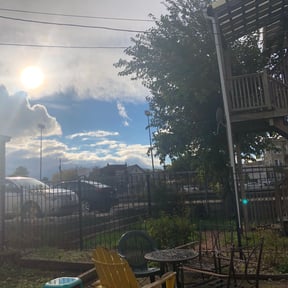 Bush Trimming by Capital City  Services reviewed on October 5, 2024