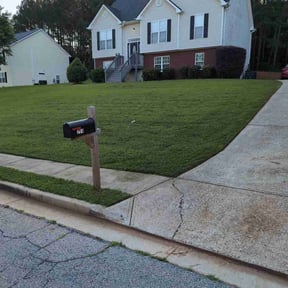 yard service by Paramount Professional Services reviewed on December 18, 2025