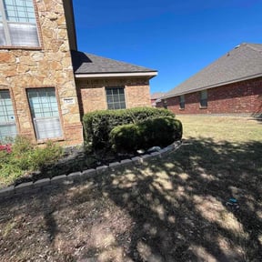 Bush Trimming by G&amp;M Landscaping Services reviewed on October 23, 2025