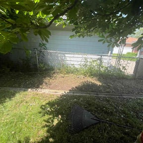 Bush Trimming by Weekend Go to Guy reviewed on December 25, 2025