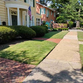 yard work by RodIsBack Solutions reviewed on March 14, 2024