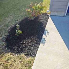 Mulching by Blazin Scapes LLC reviewed on April 8, 2024