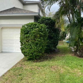 Bush Trimming by Valencia Lawn Service reviewed on November 10, 2025