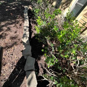 Flower Bed Weeding by The Boot Lawn Care reviewed on November 24, 2025