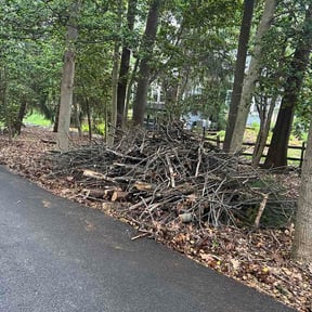 Leaf Removal by Will Mow For Less L.L.C. reviewed on April 27, 2026