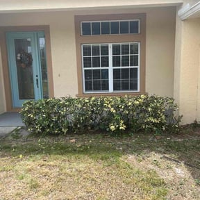 Bush Trimming by Gio Landscaping reviewed on August 14, 2025