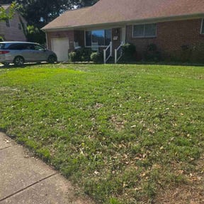 Bush Trimming by Affordable Lawncare reviewed on June 5, 2026
