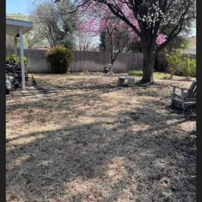 Leaf Removal by Palmer Family Lawn reviewed on September 19, 2025