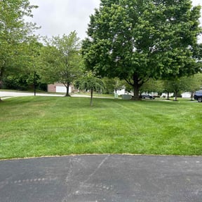 yard service by Theee A'S landscaping reviewed on November 20, 2025