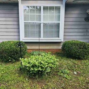 Bush Trimming by Straightlines LLC reviewed on August 18, 2025