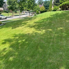 yard service by Brooks Lawncare reviewed on August 21, 2025