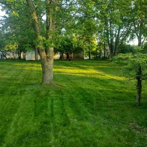 yard work by Scott Basinger lawn care reviewed on April 28, 2025