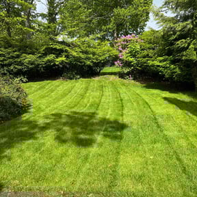 lawn maintenance by Greg Hopper reviewed on August 15, 2025