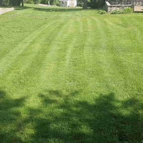 residential landscaping by Livery Services LTD, llc reviewed on August 15, 2025