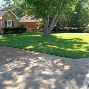 lawn care services by Suds & Soil reviewed on June 20, 2025