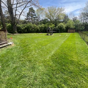 residential landscaping by Miracle Lawn Kare reviewed on August 18, 2025
