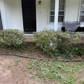 Bush Trimming by Breazeale lawn care service reviewed on August 18, 2025