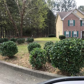 Bush Trimming by ShiftChange LLC Lawn Service reviewed on August 21, 2025