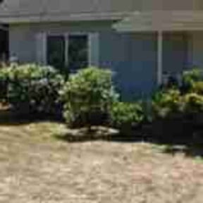 Bush Trimming by ON THE RIGHT TRACK PROPERTY MAINTENANCE reviewed on August 16, 2025