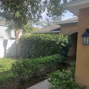 Bush Trimming by GreenCut Lawn Care reviewed on January 7, 2026