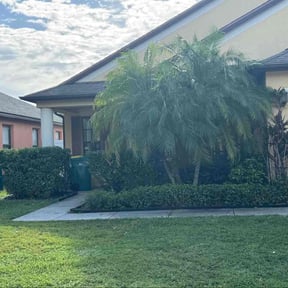 Bush Trimming by Universal lawnscaping reviewed on November 22, 2025