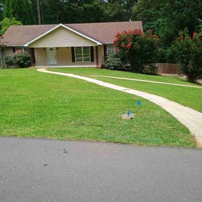 yard care by Lawn n order reviewed on August 16, 2025