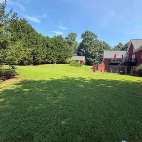 yard care by Burgeons Landscaping & Lawn Care Inc. reviewed on August 17, 2025