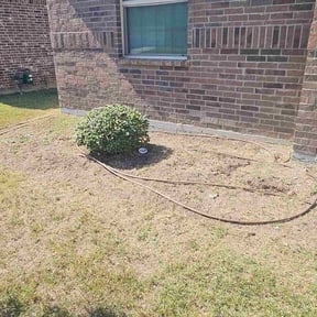 Bush Trimming by Whyexperts LLC reviewed on November 19, 2025