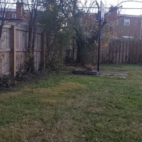 Bush Trimming by Brooks Lawn care services reviewed on August 19, 2025