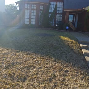 Leaf Removal by Mila Boza reviewed on September 9, 2025