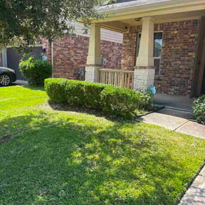 Bush Trimming by Williams Lawn care &amp; Landscape reviewed on July 14, 2026