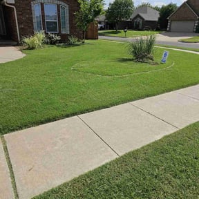 yard care by Rex's Lawn care reviewed on November 20, 2025