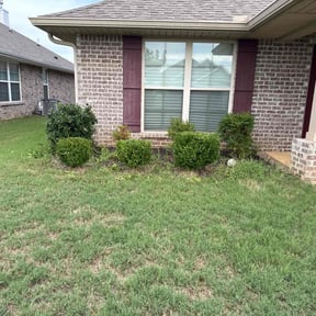 Bush Trimming by Sunshine landscaping  reviewed on November 19, 2025