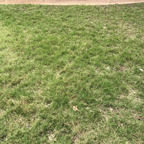 Leaf Removal by Louisiana LawnWorks reviewed on September 18, 2025