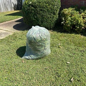 Bush Trimming by Ledesma Ventures reviewed on October 19, 2025