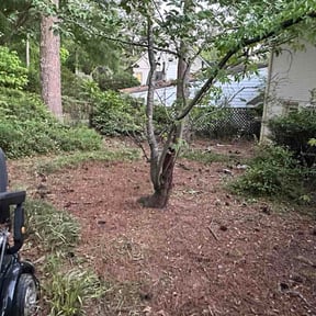 Leaf Removal by Fresh Cut Lawn Care &amp; Outdoor Services reviewed on April 22, 2026