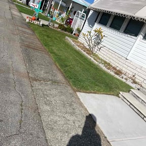 lawn care services by Forever Green FG LLC reviewed on December 4, 2024