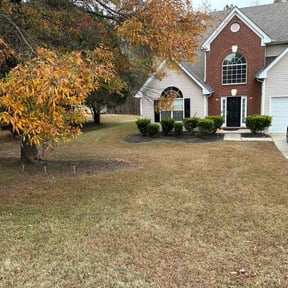 Leaf Removal by Adam Wisdom reviewed on October 24, 2025