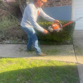 Bush Trimming by Tefel rivera reviewed on August 18, 2025