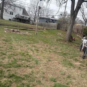 Leaf Removal by Mcs Property Services reviewed on April 20, 2026