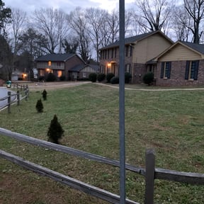 Leaf Removal by Cut With Craft reviewed on October 3, 2025