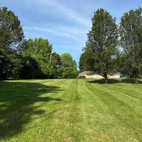 gardening service by Lawn Mow Bros reviewed on November 21, 2025