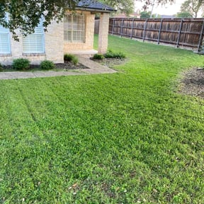 lawn maintenance by Property cuts reviewed on June 11, 2025