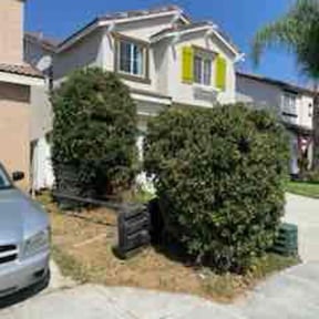 Bush Trimming by El Caribe Lawn & Palms reviewed on August 16, 2025