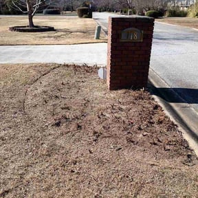 Flower Bed Weeding by Kirstien lawn crew reviewed on February 16, 2026