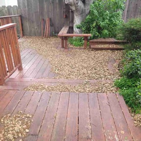 Leaf Removal by Type A Lawn Guy reviewed on April 18, 2026