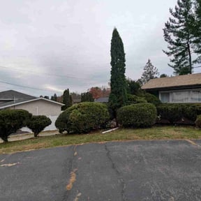 Bush Trimming by Rise Lawn Care reviewed on October 22, 2025