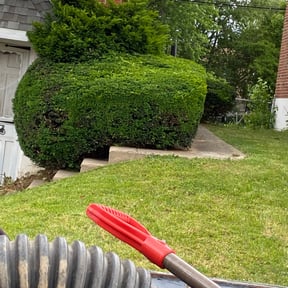 Bush Trimming by All Seasons Landscape & Hauling reviewed on August 21, 2025