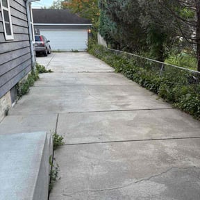 Bush Trimming by Old Skool Outdoorz, LLC reviewed on December 17, 2025